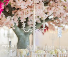 Wedding and celebration setting at Meadow Tree Marquee